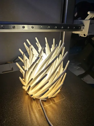 https://makerworld.bblmw.com/makerworld/model/1893087/2028102/ratings/b338c830-ed68-11f0-8427-2738e8516677.jpg