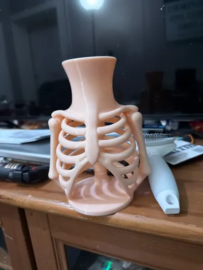 https://makerworld.bblmw.com/makerworld/model/1893601/2028703/ratings/bb230f10-e3b8-11f0-86c5-ad44877d3244.jpg
