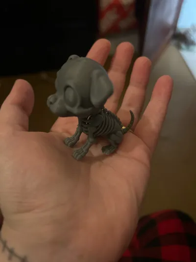 https://makerworld.bblmw.com/makerworld/model/1894397/2029570/ratings/9214c010-ac2b-11f0-82c8-b7d584f3f377.jpg