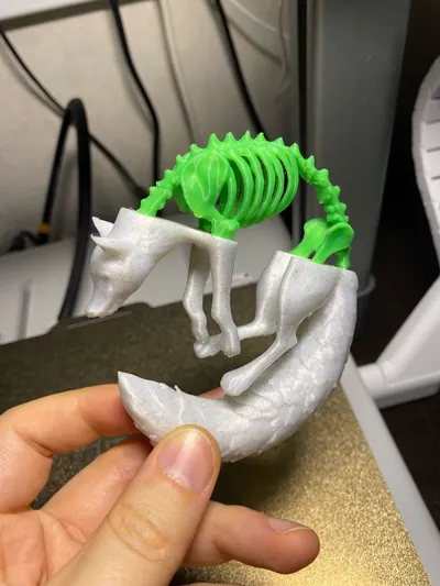 https://makerworld.bblmw.com/makerworld/model/1894448/2029633/ratings/c7de3130-b082-11f0-b057-11d59e9457f2.jpg