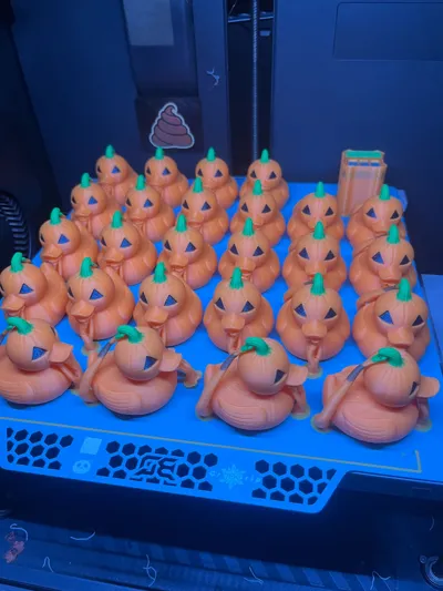 https://makerworld.bblmw.com/makerworld/model/1897023/2032538/ratings/f9e959a0-b29b-11f0-8d37-e1fcef8ce991.jpg