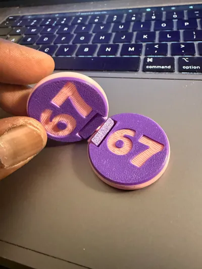 https://makerworld.bblmw.com/makerworld/model/1898228/2033978/ratings/21312500-af87-11f0-a585-dba88f9c94f0.jpg