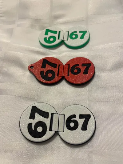 https://makerworld.bblmw.com/makerworld/model/1898228/2033978/ratings/6a7c4000-b44b-11f0-8c44-65b72dacd61a.jpg