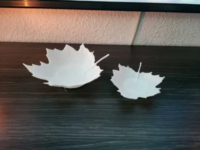 https://makerworld.bblmw.com/makerworld/model/1898261/2034018/ratings/66aea9b0-caa6-11f0-a130-d1786fa3a997.jpg