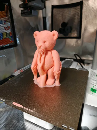 https://makerworld.bblmw.com/makerworld/model/1900254/2036476/ratings/3e004930-f56a-11f0-be51-fda9def723c2.jpg