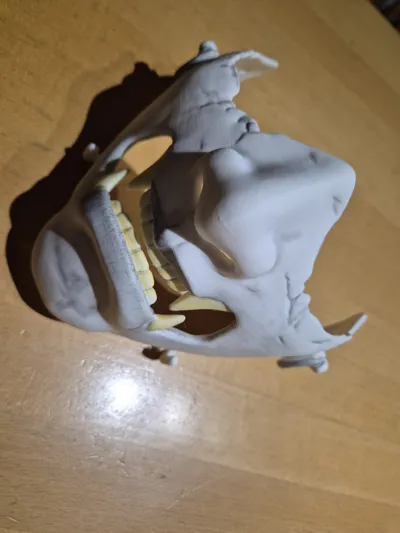https://makerworld.bblmw.com/makerworld/model/1901654/2038167/ratings/bcb28d30-bb3e-11f0-8095-298d8e826f9a.jpg