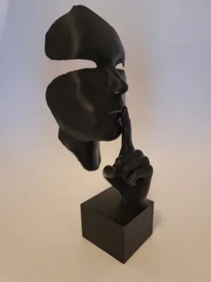 https://makerworld.bblmw.com/makerworld/model/190172/209915/ratings/da5114d0-01c4-11f0-b567-656c77b6f080.jpg