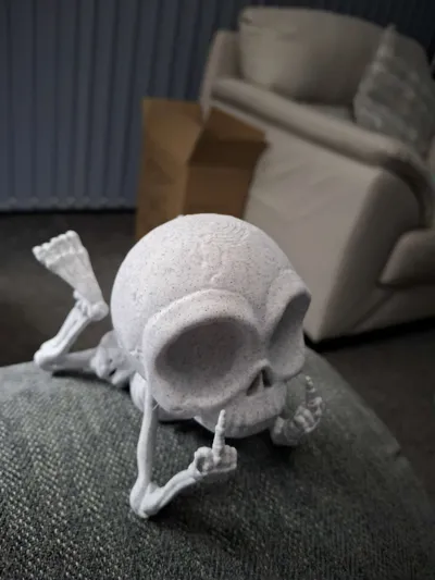 https://makerworld.bblmw.com/makerworld/model/1902022/2038601/ratings/28b04970-fb07-11f0-bd9a-45b33b1ce23b.jpg
