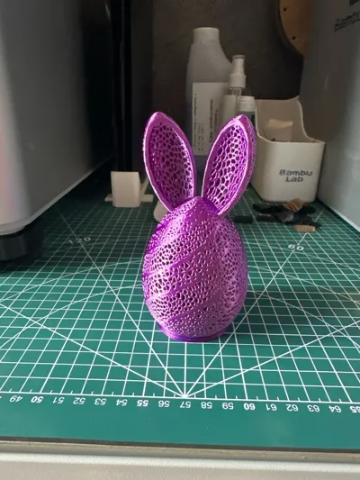 https://makerworld.bblmw.com/makerworld/model/190387/210167/ratings/a2e24890-2242-11f0-888b-c5193e05200f.jpg
