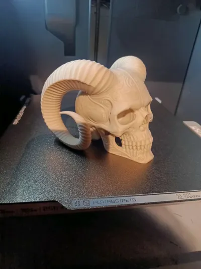 https://makerworld.bblmw.com/makerworld/model/1904097/2041133/ratings/c6f699e0-c1a5-11f0-9bde-a1ada1a40f83.jpg