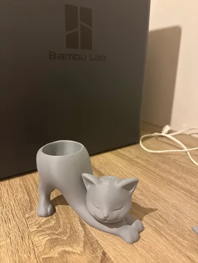 https://makerworld.bblmw.com/makerworld/model/1904396/2062025/ratings/bfd1db80-e9d6-11f0-b038-dd68bd8b6f68.jpg
