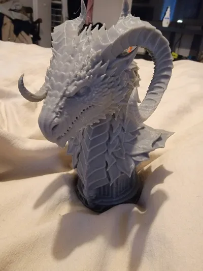 https://makerworld.bblmw.com/makerworld/model/1907017/2044522/ratings/c3c1a800-b5fc-11f0-b0d2-af89cbd7465f.jpg