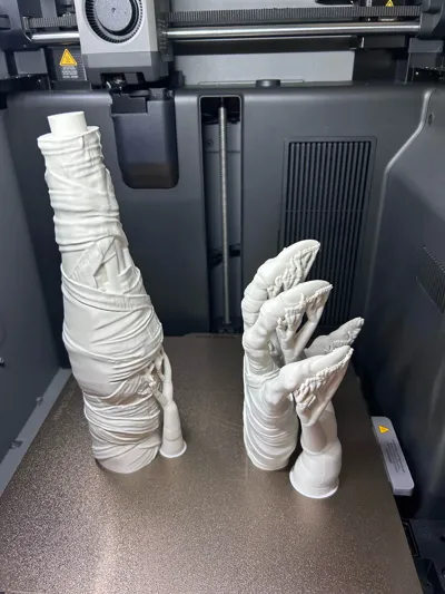 https://makerworld.bblmw.com/makerworld/model/1908692/2046541/ratings/e3dab6c0-b243-11f0-8f41-09820061afc9.jpg
