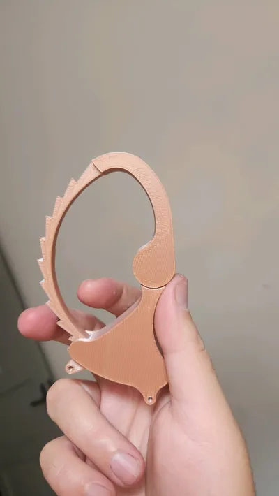 https://makerworld.bblmw.com/makerworld/model/191026/210880/ratings/04c54500-189b-11f0-b6ec-3b3657f9c219.jpg