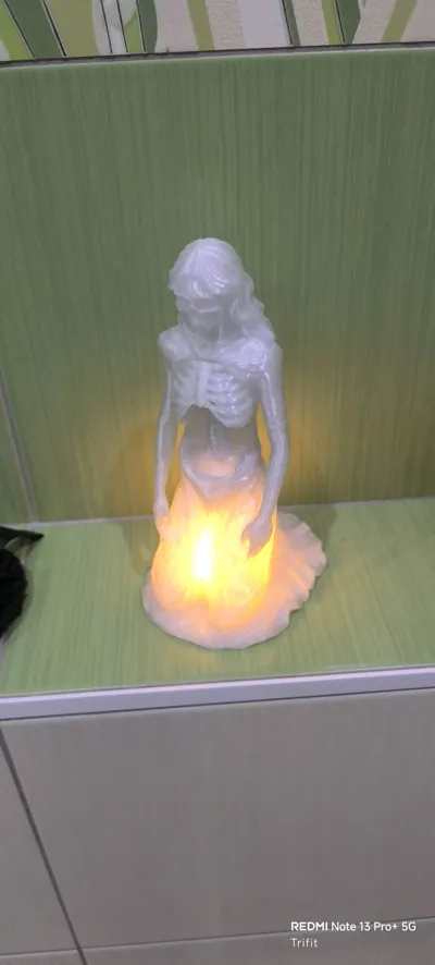 https://makerworld.bblmw.com/makerworld/model/1911204/2049471/ratings/24d236a0-b684-11f0-b0a7-d303de95bee1.jpg