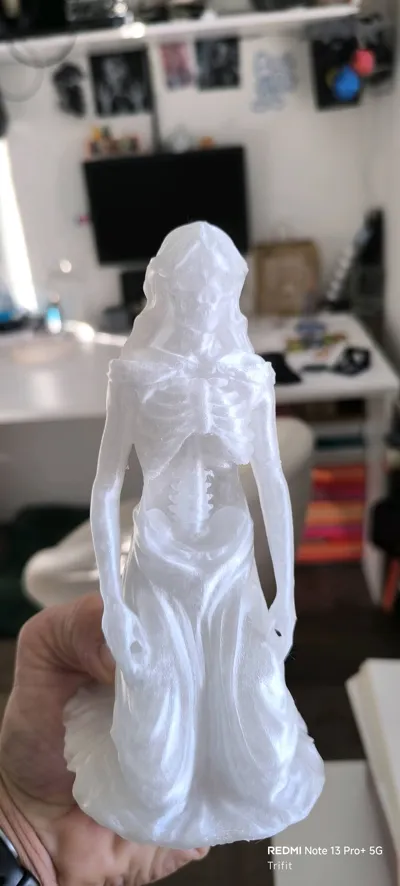 https://makerworld.bblmw.com/makerworld/model/1911204/2049471/ratings/37a04fe0-b4ec-11f0-9332-c5941b6afbf2.jpg