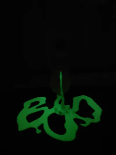 https://makerworld.bblmw.com/makerworld/model/1911708/2050096/ratings/bf9f69b0-b287-11f0-9177-af5a6e2fb320.png