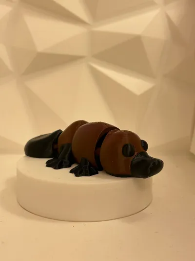 https://makerworld.bblmw.com/makerworld/model/1911872/2050286/ratings/7ef47610-b05e-11f0-a96e-a16ed470548a.jpg