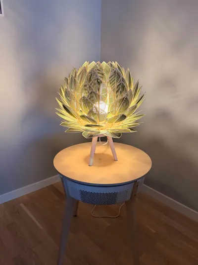 https://makerworld.bblmw.com/makerworld/model/1913623/2052334/ratings/99db4c10-c7fb-11f0-b75b-23a964c09670.jpg