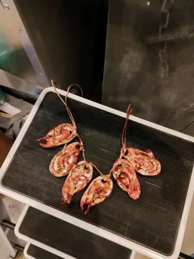https://makerworld.bblmw.com/makerworld/model/1916483/2055905/ratings/c65eb700-b4bd-11f0-aad2-41febd08f7d2.jpg