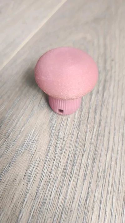 https://makerworld.bblmw.com/makerworld/model/1917085/2056631/ratings/dbee7590-bd1b-11f0-b7eb-c5a688faa452.jpg
