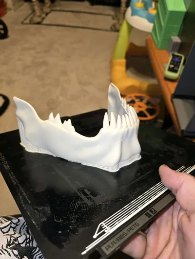https://makerworld.bblmw.com/makerworld/model/1918054/2057863/ratings/fa0690e0-bca7-11f0-93c5-c70601e5495f.jpg
