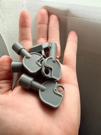 https://makerworld.bblmw.com/makerworld/model/1918060/2057869/ratings/ac27d340-b58e-11f0-a849-1724d8a62a89.jpg