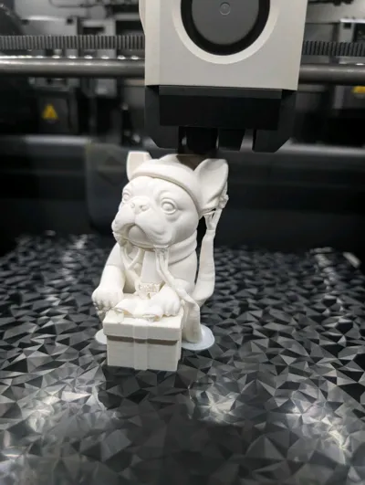 https://makerworld.bblmw.com/makerworld/model/1919068/2059033/ratings/a980dc00-cef1-11f0-a2f0-279c3f4d0f1c.jpg