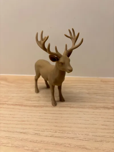 https://makerworld.bblmw.com/makerworld/model/1923706/2064302/ratings/ce7af650-d14c-11f0-844c-8347d5684007.jpg