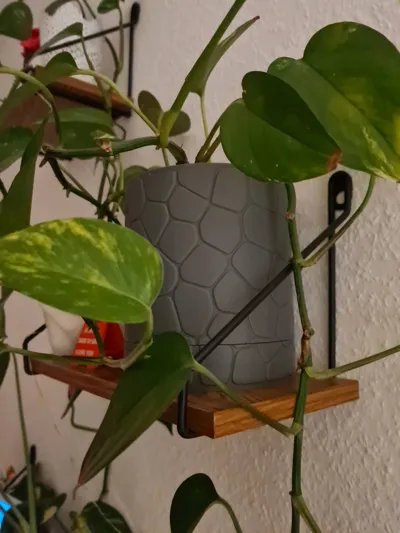 https://makerworld.bblmw.com/makerworld/model/192389/212584/ratings/d50db490-3290-11f0-a4cb-5b7e4099c785.jpg