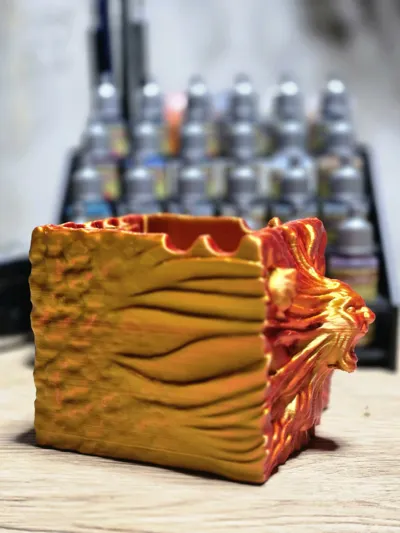 https://makerworld.bblmw.com/makerworld/model/1924310/2065016/ratings/25637d60-f53e-11f0-a7d0-d547d6b4f0e0.jpg