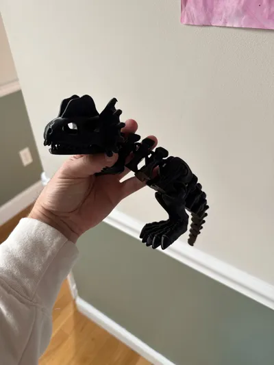 https://makerworld.bblmw.com/makerworld/model/1924634/2065394/ratings/641f94e0-c257-11f0-baa6-5b145c384583.jpg