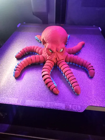 https://makerworld.bblmw.com/makerworld/model/1925665/2066615/ratings/b942d830-efff-11f0-969b-a57c16d965e5.jpg