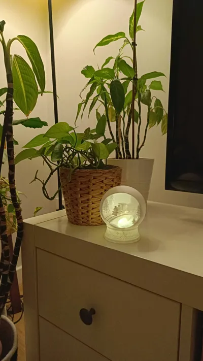 https://makerworld.bblmw.com/makerworld/model/1927961/2069347/ratings/c3946390-e99b-11f0-a2a8-6127deaf3a0c.jpg