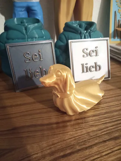 https://makerworld.bblmw.com/makerworld/model/1928413/2069900/ratings/2920c980-bd85-11f0-8f64-e5ed2b7e718d.jpg