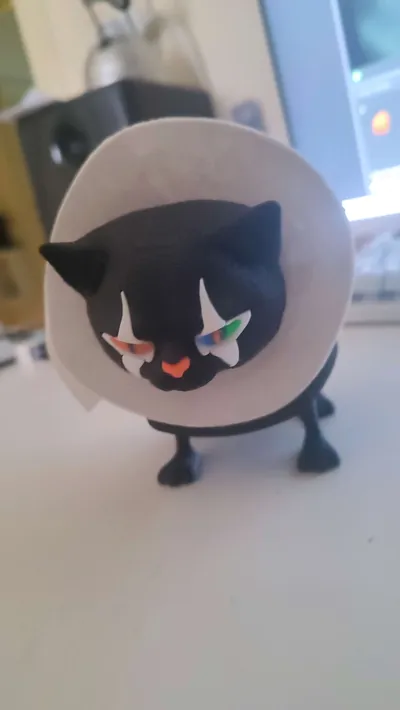 https://makerworld.bblmw.com/makerworld/model/1928636/2070152/ratings/8a3e1290-e8af-11f0-b9bd-cbfa2c4f7b97.jpg