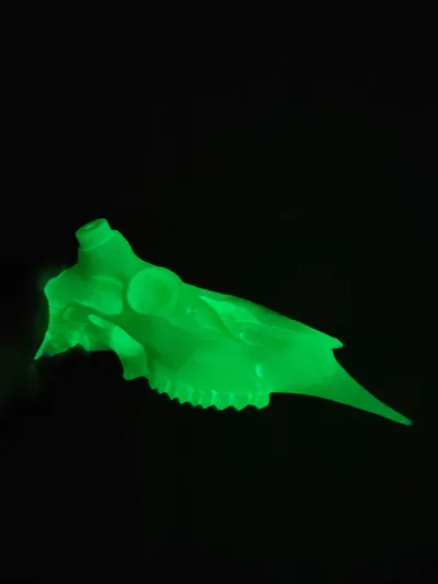 https://makerworld.bblmw.com/makerworld/model/1929380/2071020/ratings/e13e2120-f084-11f0-909e-17a4d2d5ee39.jpg