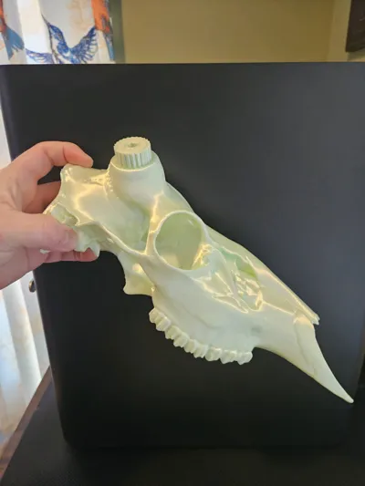 https://makerworld.bblmw.com/makerworld/model/1929380/2071020/ratings/e159bf70-f084-11f0-909e-17a4d2d5ee39.jpg