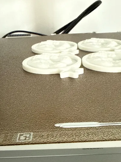 https://makerworld.bblmw.com/makerworld/model/1933857/2094833/ratings/b9b35590-c252-11f0-abf8-4f8470ec8e07.jpg