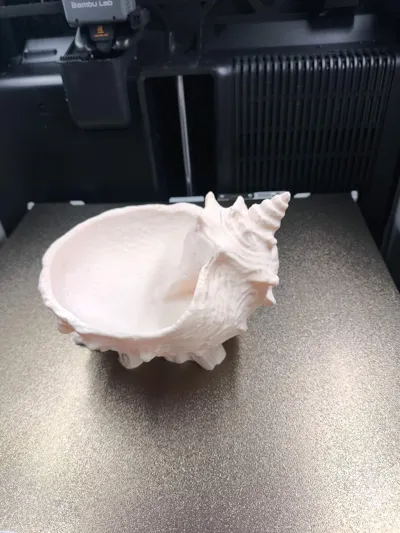 https://makerworld.bblmw.com/makerworld/model/1935687/2078387/ratings/9cf9fc80-080a-11f1-b37d-354daa21a4b0.jpg