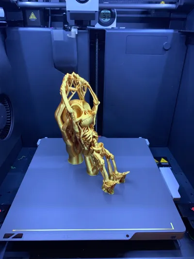 https://makerworld.bblmw.com/makerworld/model/1936197/2088670/ratings/5466bc30-b80d-11f0-b837-71890fbf90fa.jpg