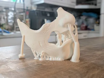 https://makerworld.bblmw.com/makerworld/model/1937074/2080073/ratings/3d126ac0-ce2e-11f0-b88f-87f8e5b742c9.jpg