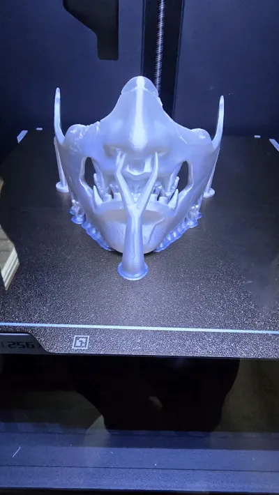 https://makerworld.bblmw.com/makerworld/model/1937074/2080073/ratings/b6c0e7e0-e10f-11f0-8698-3777c0460d81.jpg