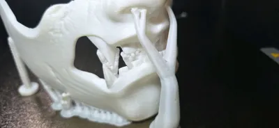 https://makerworld.bblmw.com/makerworld/model/1937074/2080073/ratings/ea41aec0-f2de-11f0-b2a3-69cce217a715.jpg