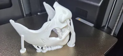 https://makerworld.bblmw.com/makerworld/model/1937074/2080073/ratings/ea41d5d0-f2de-11f0-b2a3-69cce217a715.jpg