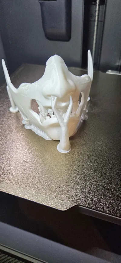 https://makerworld.bblmw.com/makerworld/model/1937074/2080073/ratings/eaa5c7c0-f2de-11f0-b2a3-69cce217a715.jpg