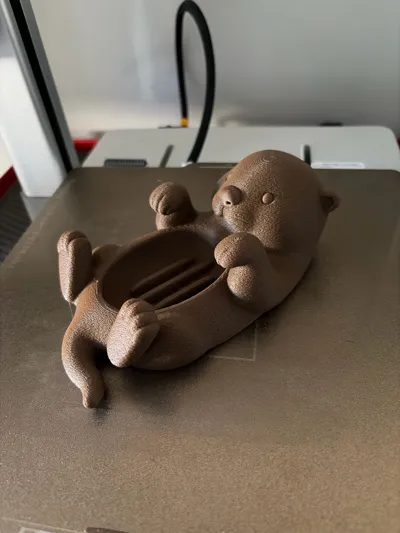 https://makerworld.bblmw.com/makerworld/model/1937103/2080102/ratings/08287a40-df7a-11f0-ad37-8d84abcfdba5.jpg