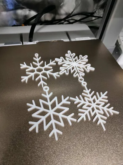 https://makerworld.bblmw.com/makerworld/model/1938283/2081416/ratings/e4609490-c547-11f0-bffa-dfbbae679c43.jpg