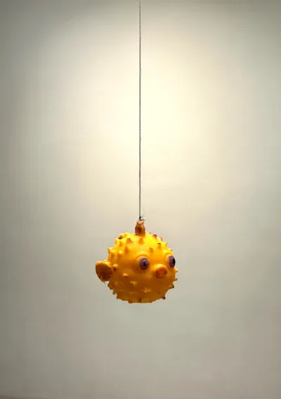 https://makerworld.bblmw.com/makerworld/model/1940434/2083957/ratings/f8eebbf0-c531-11f0-831e-919b516a1bdd.jpg