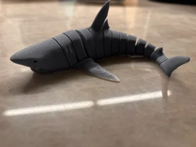 https://makerworld.bblmw.com/makerworld/model/1940576/2085650/ratings/34734c70-d7d6-11f0-9cda-bf3cc69d2542.jpg